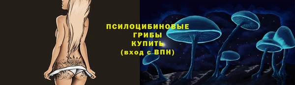 jwh Белокуриха